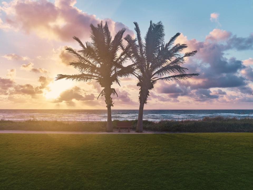 Photo credit: Discover The Palm Beaches