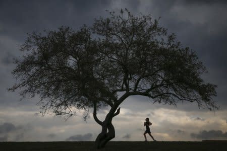 FILE PHOTO: A woman is seen jogging at Cunningham Park in the borough of Queens in New York, September 16, 2014.  REUTERS/Shannon Stapleton/File Photo