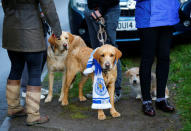 Britain Football Soccer - Leicester City players watch the Chelsea v Tottenham Hotspur game at Jamie Vardy's house in Melton Mowbray - Leicester - 2/5/16. Leicester City fans with their dogs outside Jamie Vardy's home. Reuters / Darren Staples Livepic