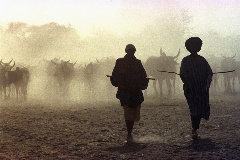FILE - Tuareg clansmen are silhouetted as they herd cattle in the land between Koygma and Timbuktu, in northern Mali, March 1997. In 2023, Cattle raiding by Islamic extremists is soaring at unprecedented levels in Mali, with jihadis linked to al-Qaida and the Islamic State group stealing millions of dollars worth of cattle to buy weapons and vehicles to fund their insurgency across the war-torn West African country and region below the Sahara Desert, known as the Sahel. (AP Photo/Jerome Delay, File)