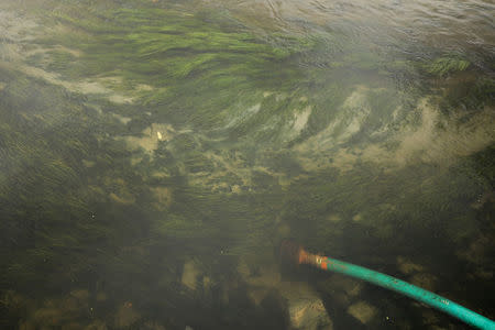 A pipe used to pump water lies in the polluted Kuils river in Cape Town, South Africa, February 2, 2018. REUTERS/Mike Hutchings