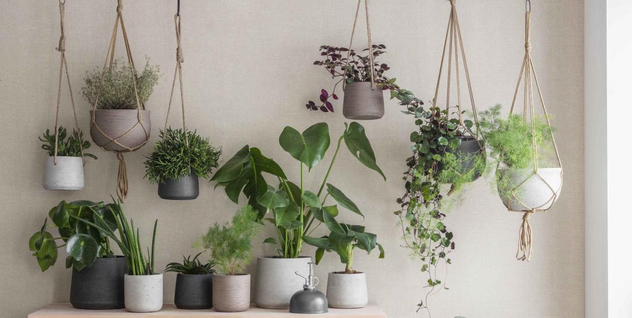  Garden Trading hanging pots 