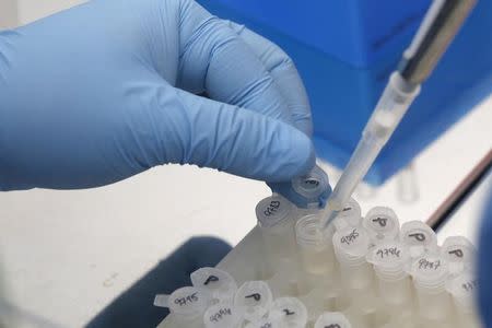 A medical researcher works on results of tests for preventing the spread of the Zika virus and other mosquito-borne diseases at the Gorgas Memorial institute for Health Studies laboratory in Panama City February 5, 2016. REUTERS/Carlos Jasso