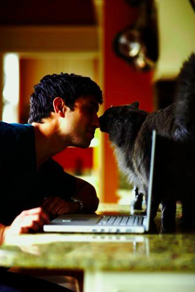 Young man sits in front of his laptop and puts his nose up to the nose of his cat.