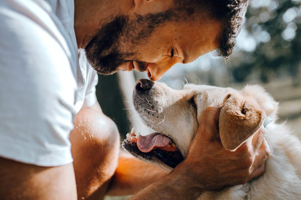 man with yellow lab, one of the top breeds in 2021