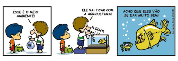 圖／Armandinho Facebook