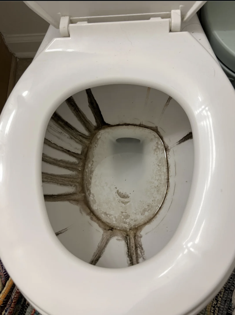 Person distressed by significant mold growth on toilet after a two-week absence