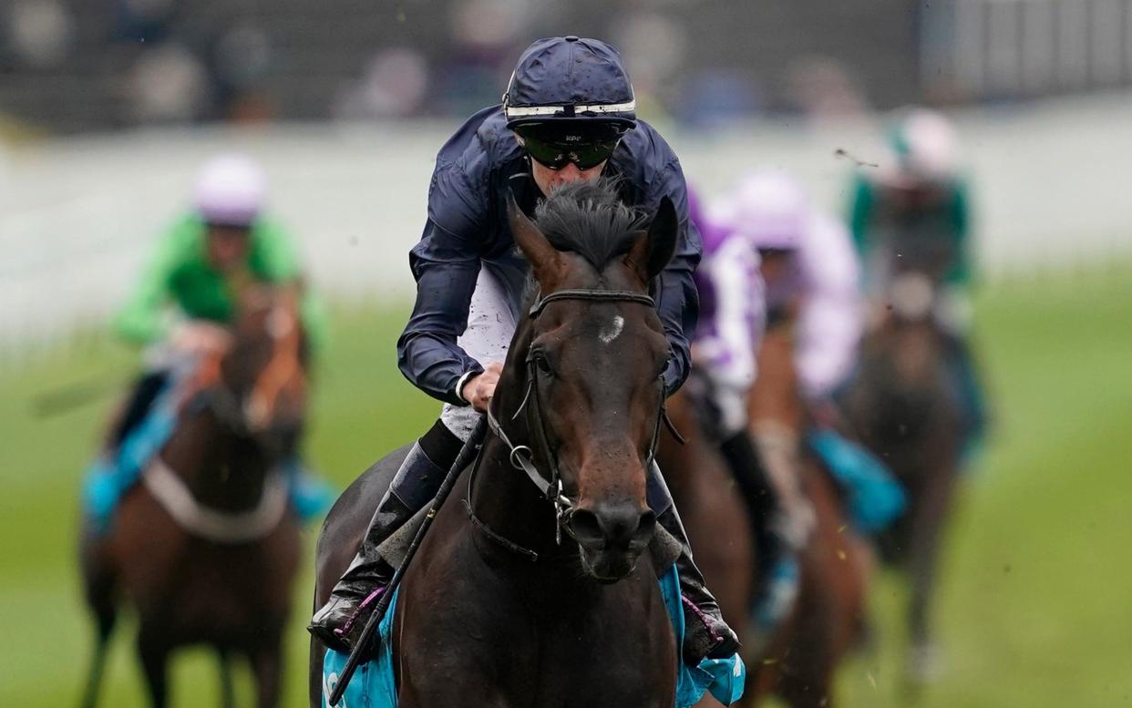 Sir Dragonet, a runaway winner of the Chester Vase earlier this month, may well run in the Investec Derby after all  - Getty Images Europe