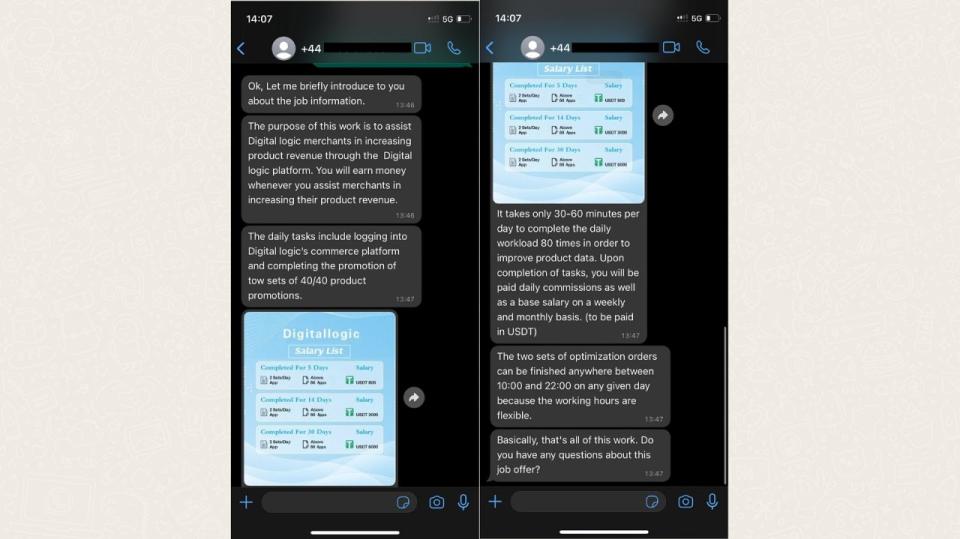 Euronews Next&apos;s conversation with &apos;Stella&apos;, a representative of &apos;Digital Logic&apos;.