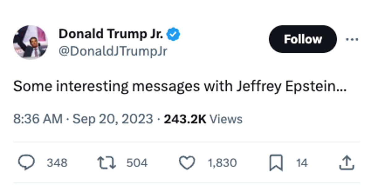 The apparently hacked account of Donald Trump Jr mentioned the convicted sex offender Jeffrey Epstein, who died in 2019 (Screenshot / X)