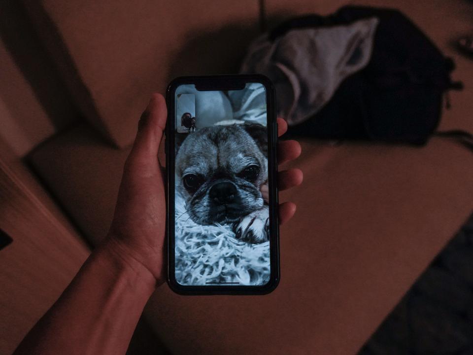 A pug on facetime in a dark room