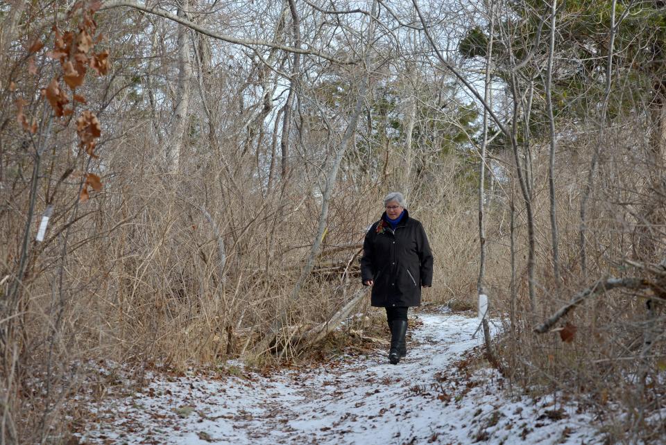 Sue Sullivan walks along one of the trails in the Pogorelc Sanctuary in West Barnstable Dec. 22, 2022. Sullivan, the director of communications for the Barnstable Land Trust, was photographed in the Pogorelc Sanctuary which is located behind the trust's conservation center on Route 6A.