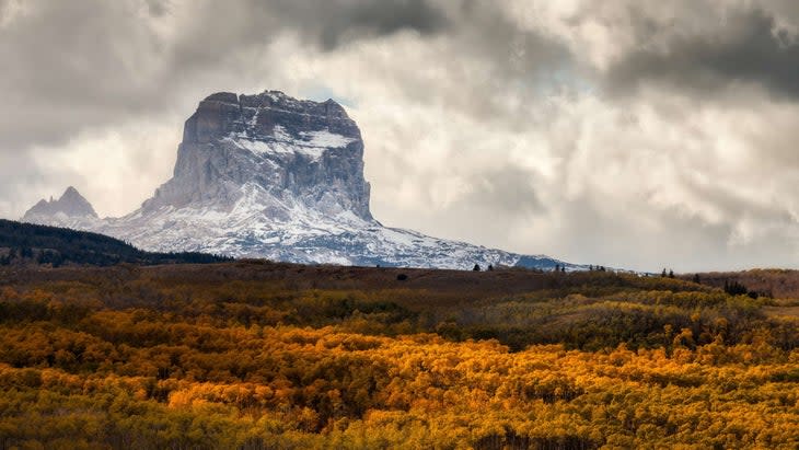 <span class="article__caption">Chief Mountain and aspens in autumn (Photo: Tomas Nevesely/Getty)</span>