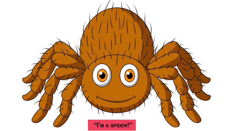 Cartoons of spiders illustrating deductive reasoning.