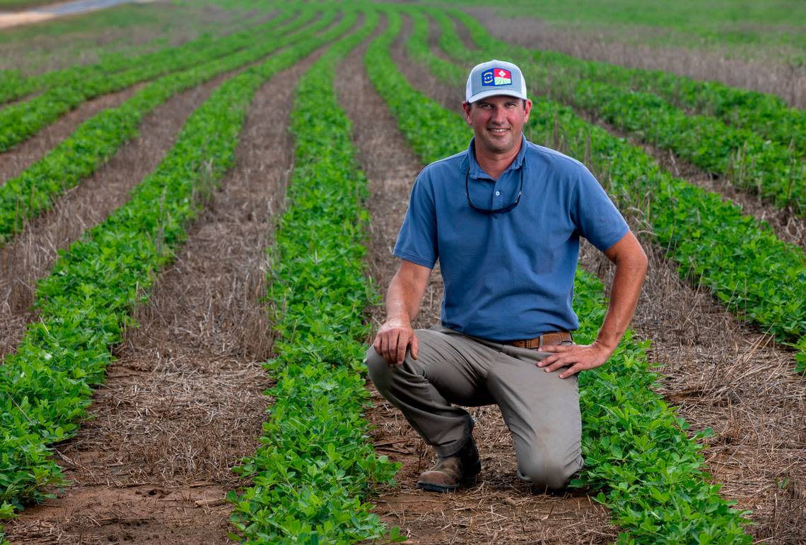 Peanut farmer Donny Lassiter in one of his peanuts fields at the Mofield farm on Monday, July 10, 2023 near Jackson, N.C. Lassiter plants approximately 1,500 acres in Virginia peanuts annually, which can produce up to 5,000 pounds per acre.