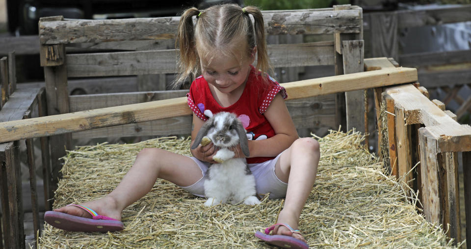 In this Thursday, June 6, 2019, photo, Victory Schofield plays with a rabbit at her home, in Ogden, Utah. When doctors said her youngest child would be a girl, Amie Schofield chose the name Victoria. Then the prediction changed to boy, so she switched to Victor. It turned out neither was exactly right: The blue-eyed baby was intersex, with both male and female traits. She and her husband decided to call the infant Victory. (AP Photo/Rick Bowmer)