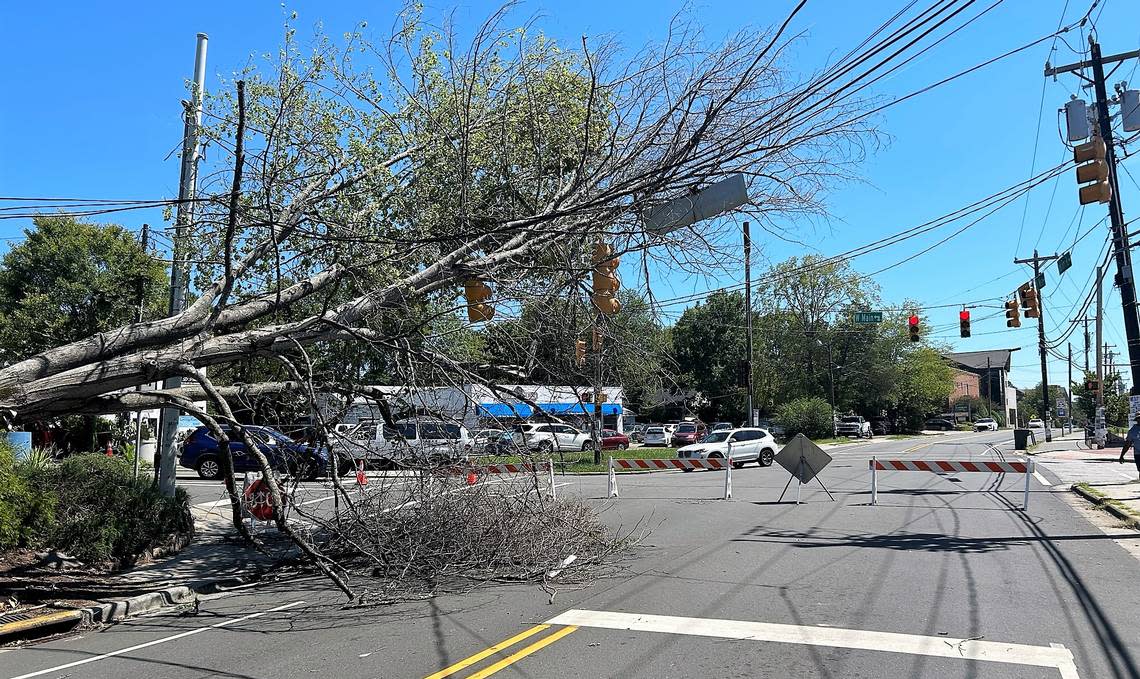 A large tree was toppled during Tuesday night’s storm at the intersection of Jones Ferry Road and West Main Street in Carrboro. N.C. Department of Transportation and Duke Energy officials are working to fix the damage, Carrboro officials reported on Aug. 16, 2023.