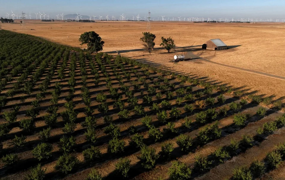 A barn stands on a parcel of land that was recently purchased near Rio Vista, California