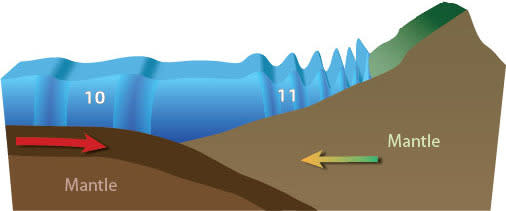 Tsunamis gain height as they approach the shore.