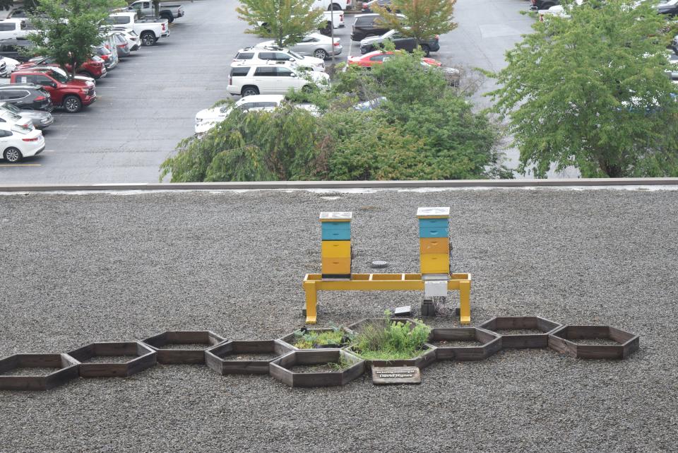 Two bee towers sit atop the Renaissance Hotel in Asheville.