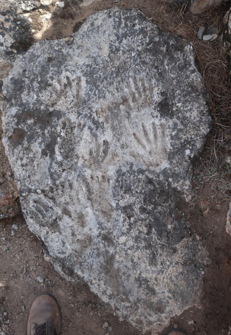 Hand and footprints preserved in limestone on the Tibetan Plateau.