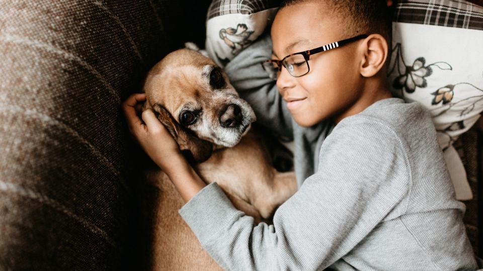 Person hugging dog