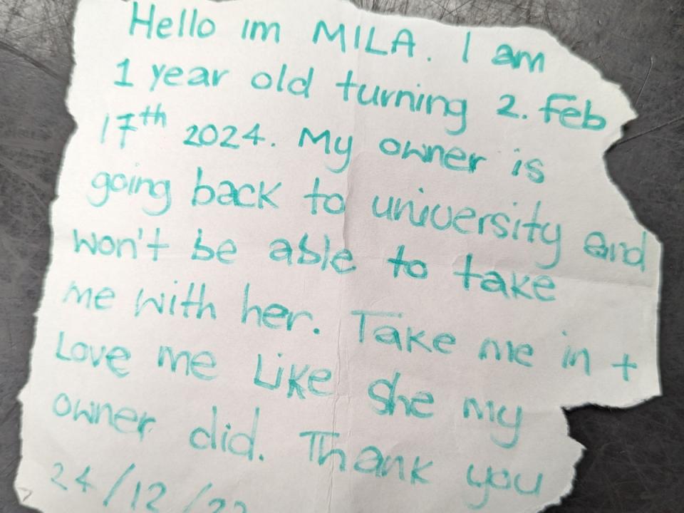 This note was left with the cat. (RSPCA/SWNS)