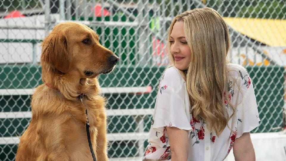 Amanda Seyfried and Enzo in The Art of Racing in the Rain.