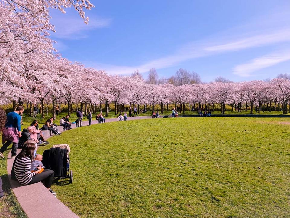 開花公園（Image Source : Getty Creative）