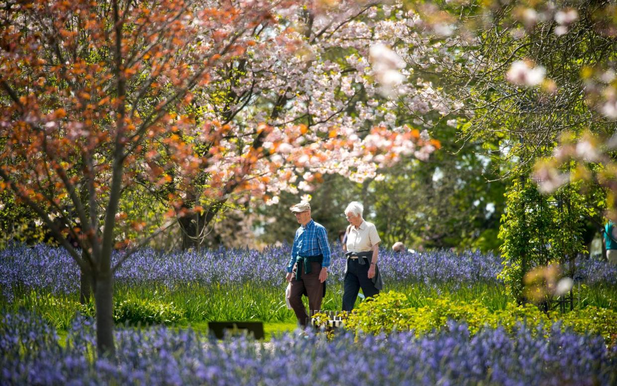 RHS Wisley, Surrey, motorways, best service stations, car travel over the bank holidays