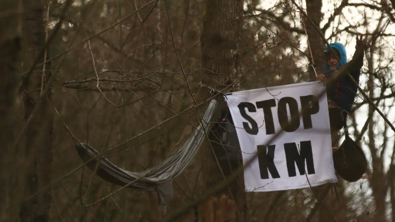 19 arrested at Trans Mountain pipeline protest site in Burnaby, B.C.