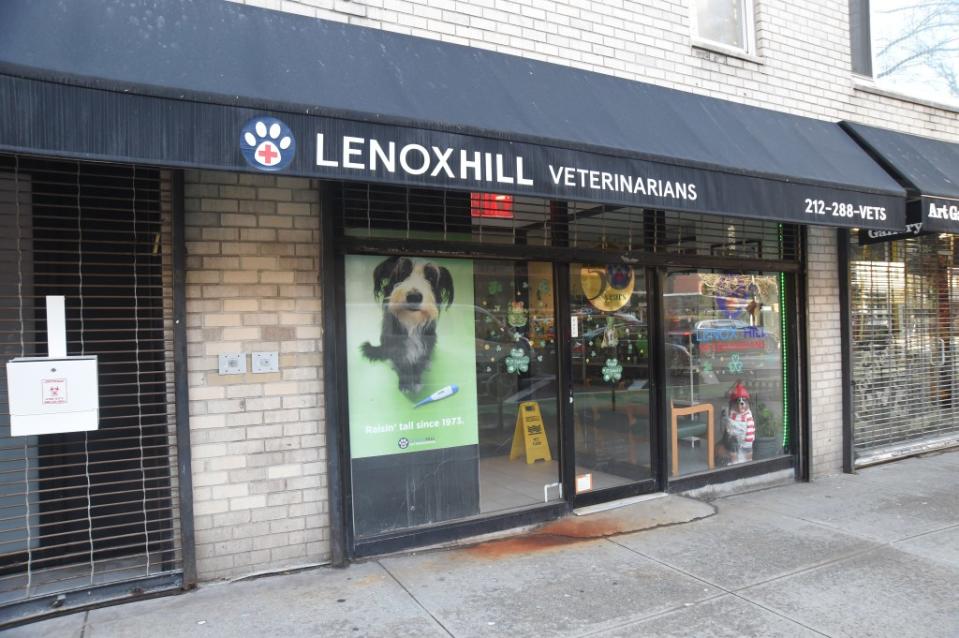 A lawsuit claims the Lenox Hill Veterinarians office is responsible for the “murder” of a tiny Maltese that received “piecemeal” dental work there and later died of kidney failure. John Roca