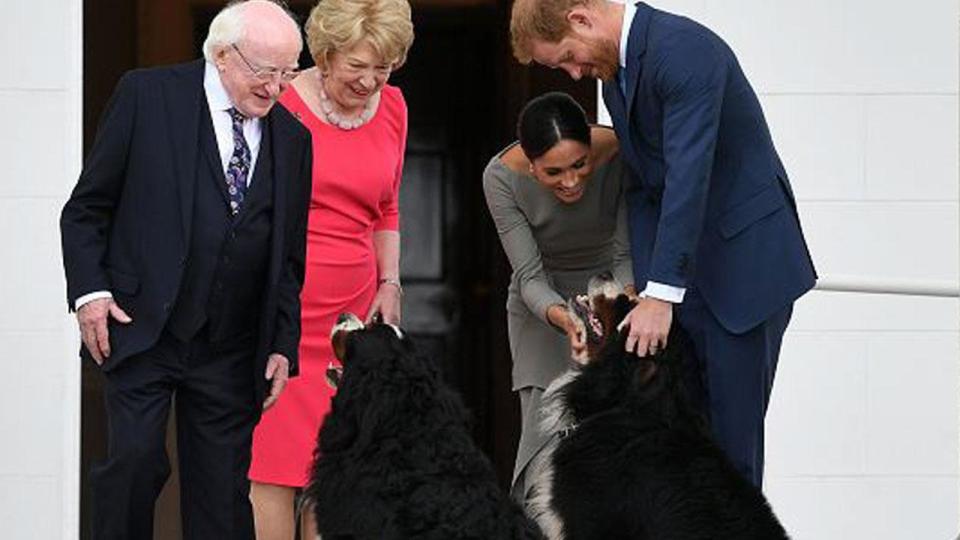 The Duke and Duchess of Sussex have a new pup.