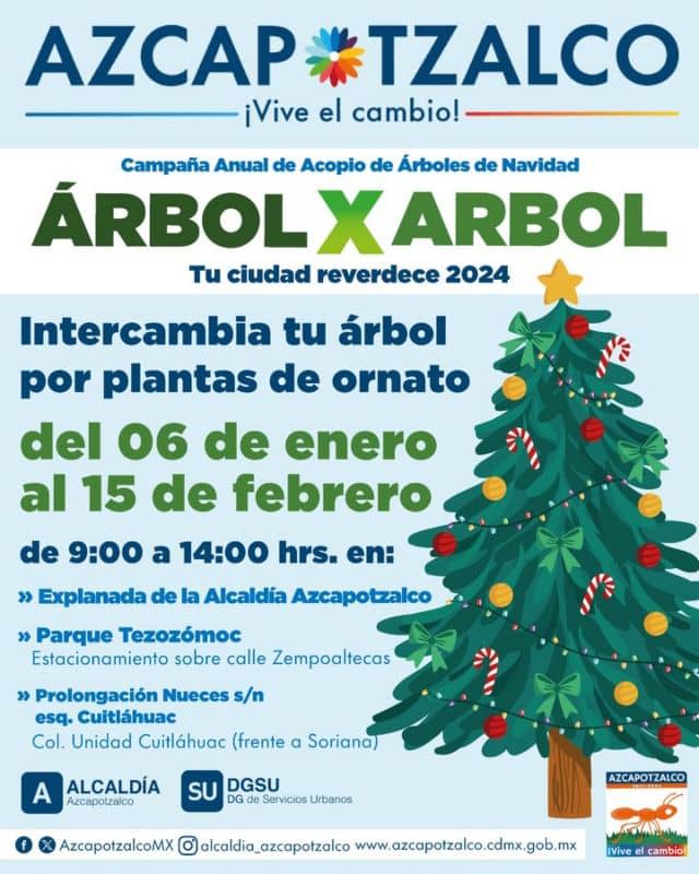 arbolxarbol