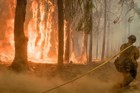 Firefighter fight fire near torching trees as wildfire burns near Yosemite National Park in this US Forest Service photo released on social media from California, U.S., August 6, 2018. Courtesy USFS/Yosemite National Park/Handout via REUTERS