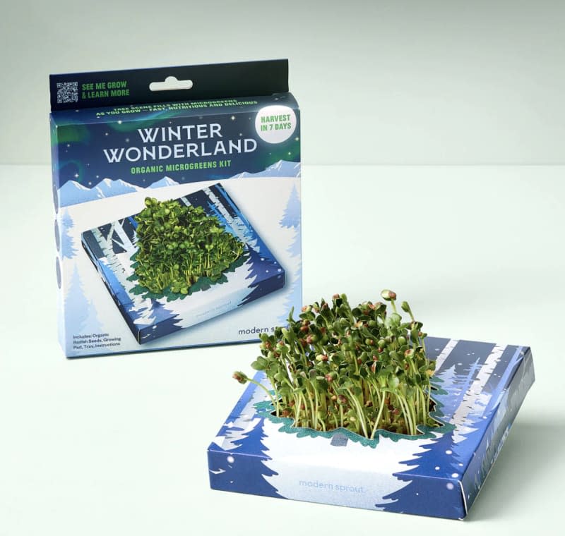 Winter Wonderland Microgreens Kit