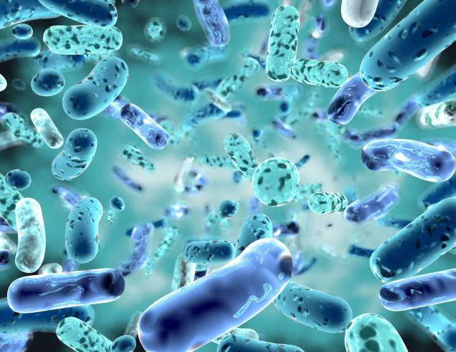 Bakterien, Viren und Pilze: Unsichtbare Ökosysteme mit unschätzbarem Nutzen
