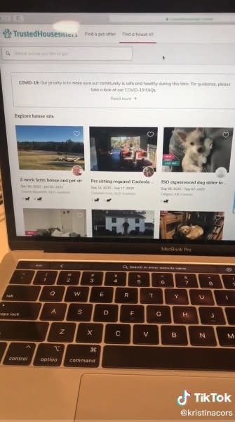 Laptop computer with a petsitting screen