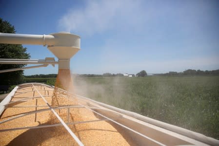 FILE PHOTO: Corn is loaded into a truck at a farm in Tiskilwa, Illinois