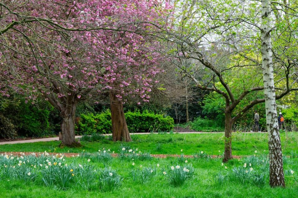 Lammas Park has an outdoor gym (Lucy Young)