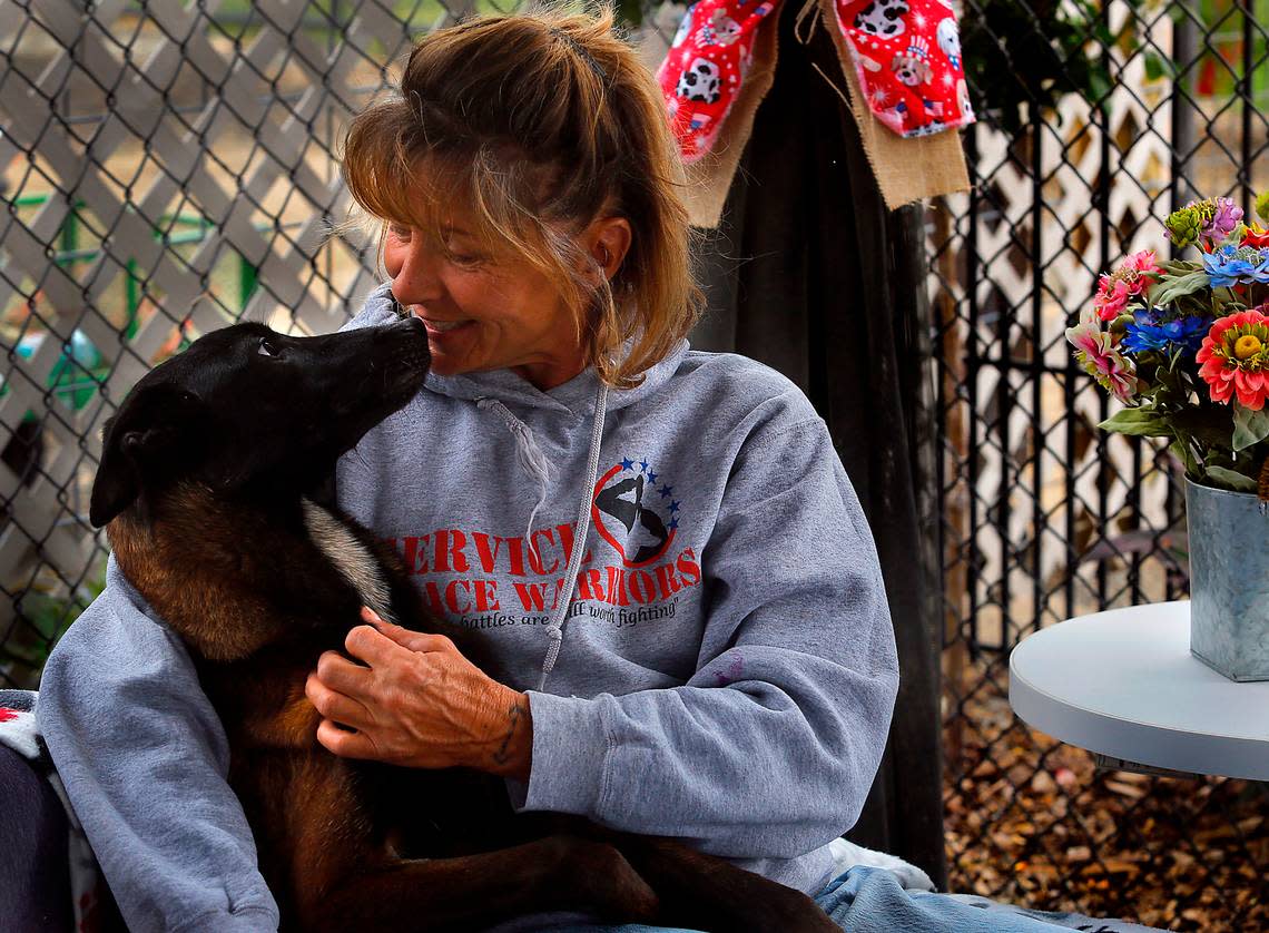 Mary Mattox smiles as Ahsoka, an emaciated Belgian Malinois, nuzzles her for the first time while sitting under a gazebo at the Mattox Dog Training Academy near Eltopia in rural Franklin County. Mattox is providing foster care for the malnourished dog that was taken in by Mikey’s Chance Canine Rescue. Bob Brawdy/bbrawdy@tricityherald.com