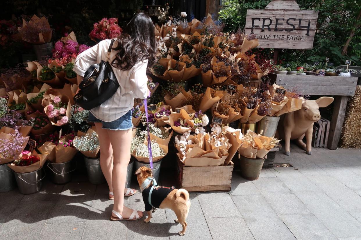 woman with her dog looking at flowers at a farmers' market