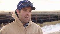 Alberta, Saskatchewan ranchers brace for impact of bovine TB cull and quarantine