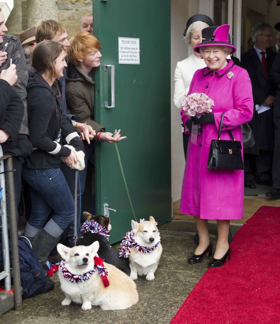 2012年5月1日，英女王伊莉莎白二世登基鑽禧，出訪英國多地。有民眾帶同女王喜愛的哥基犬與女王見面。