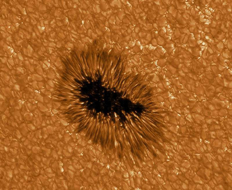 A sunspot observed in high resolution by the GREGOR telescope at the wavelength 430 nm.  / Credit: KIS