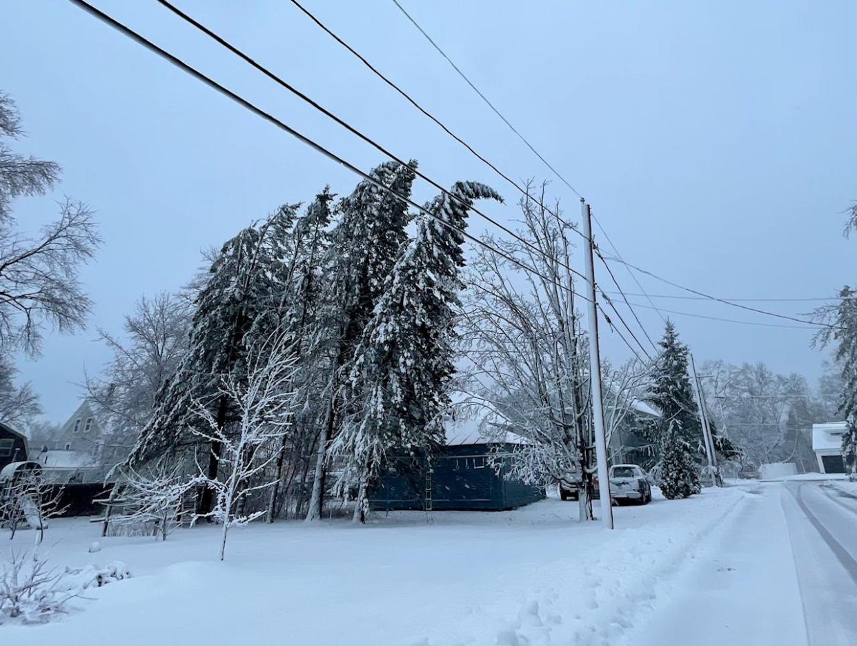 Bending trees are seen on Ross Street in South Berwick, Maine, early Thursday, April 4, 2024, as a spring storm hit the region.