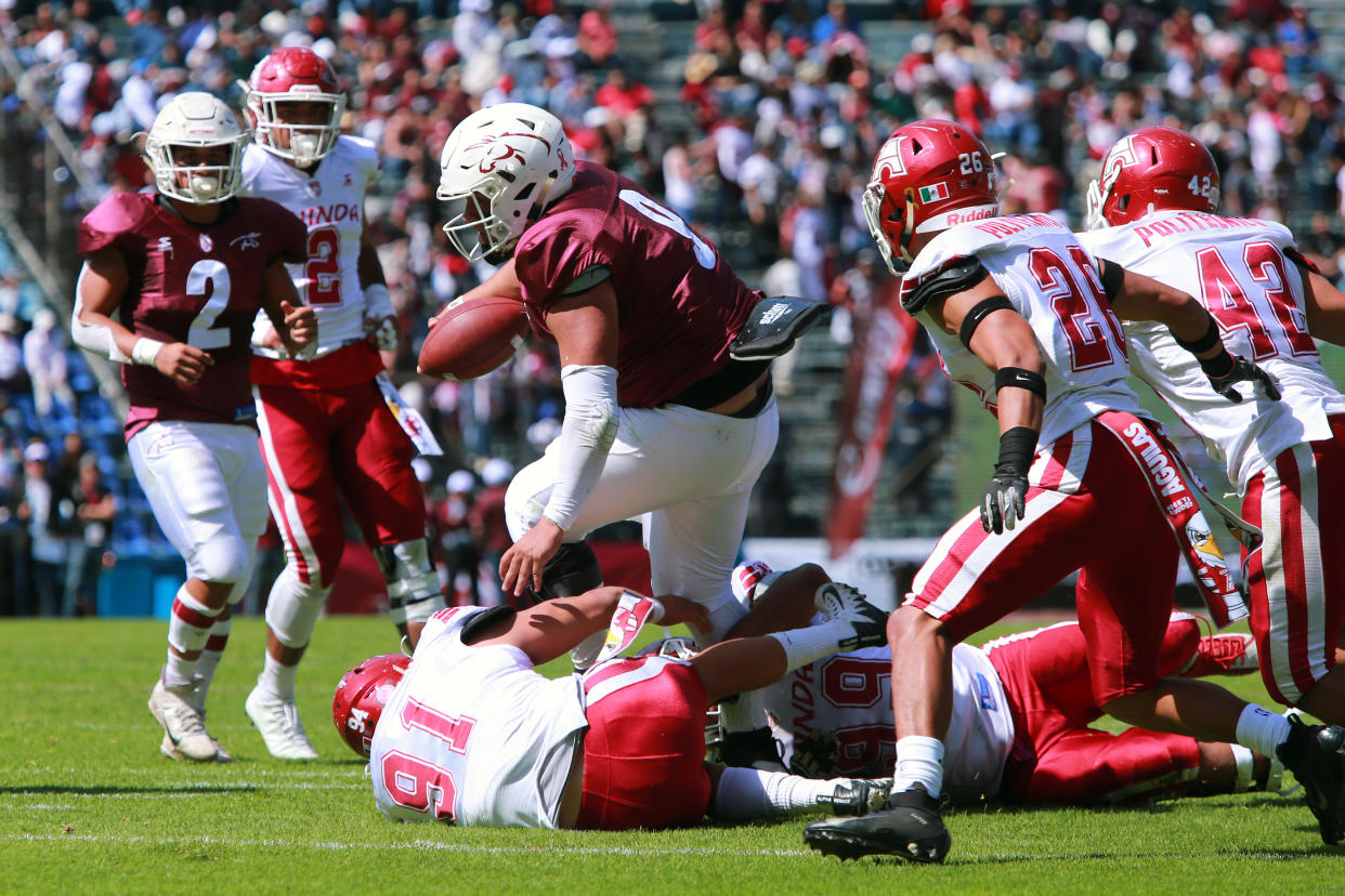 Burros Blancos vs Aguilas Blancas - Final - ONEFA