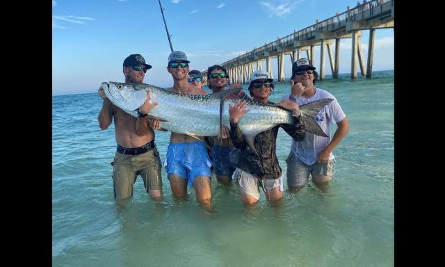 Catch of massive tarpon off Florida sparks controversy - Yahoo Sports
