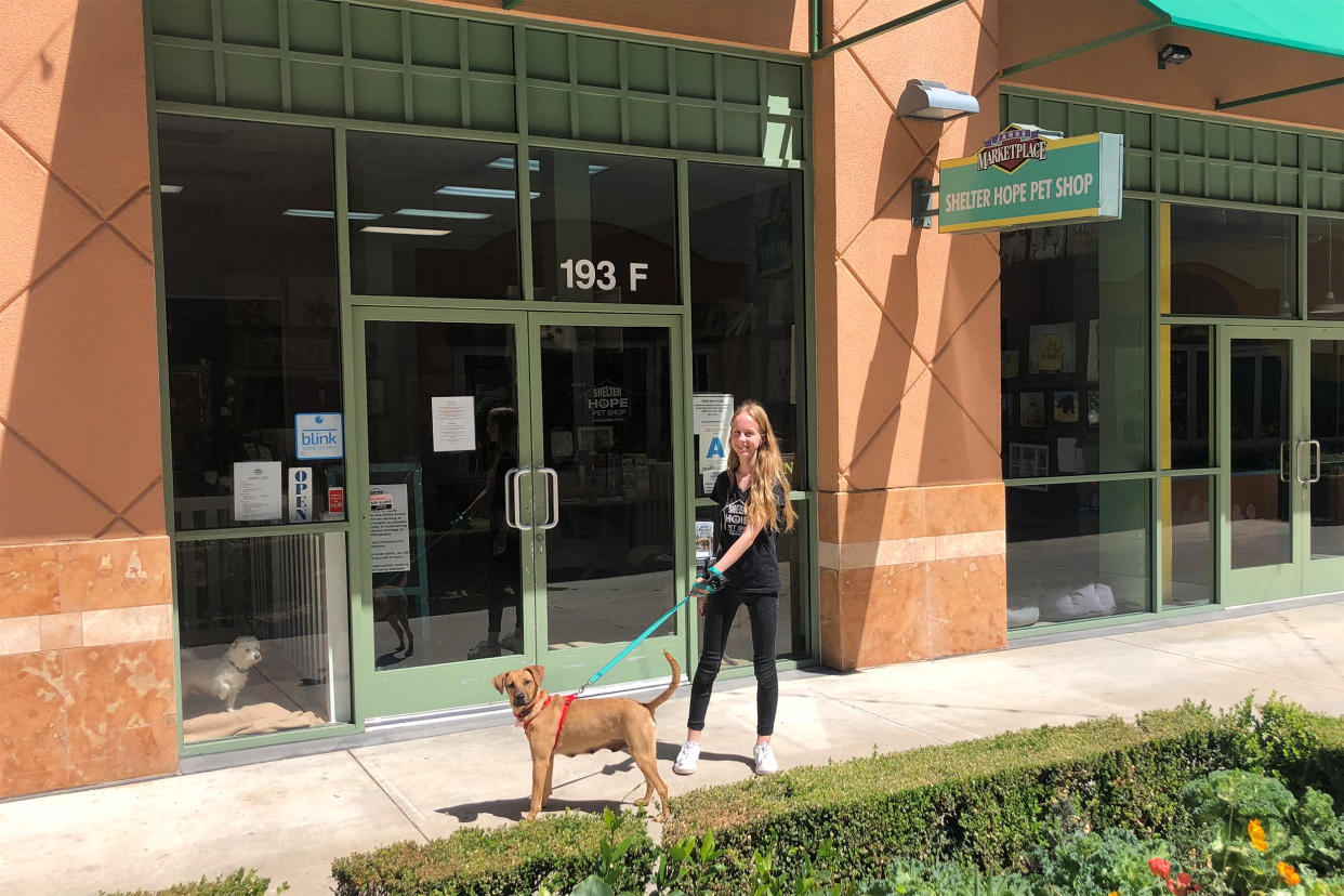 Imogen Jones walks a dog outside the Shelter Hope Pet Shop. (Shelter Hope Pet Shop)