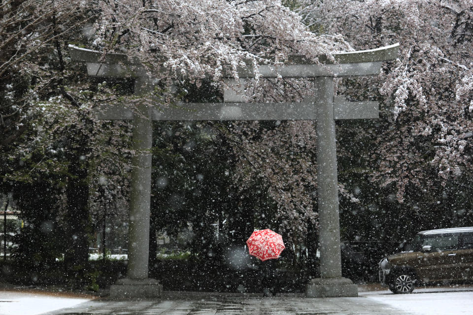 Una mujer pasa bajo un arco tori durante una nevada, el domingo 29 de marzo de 2020 en Tokio. (AP Foto/Jae C. Hong)